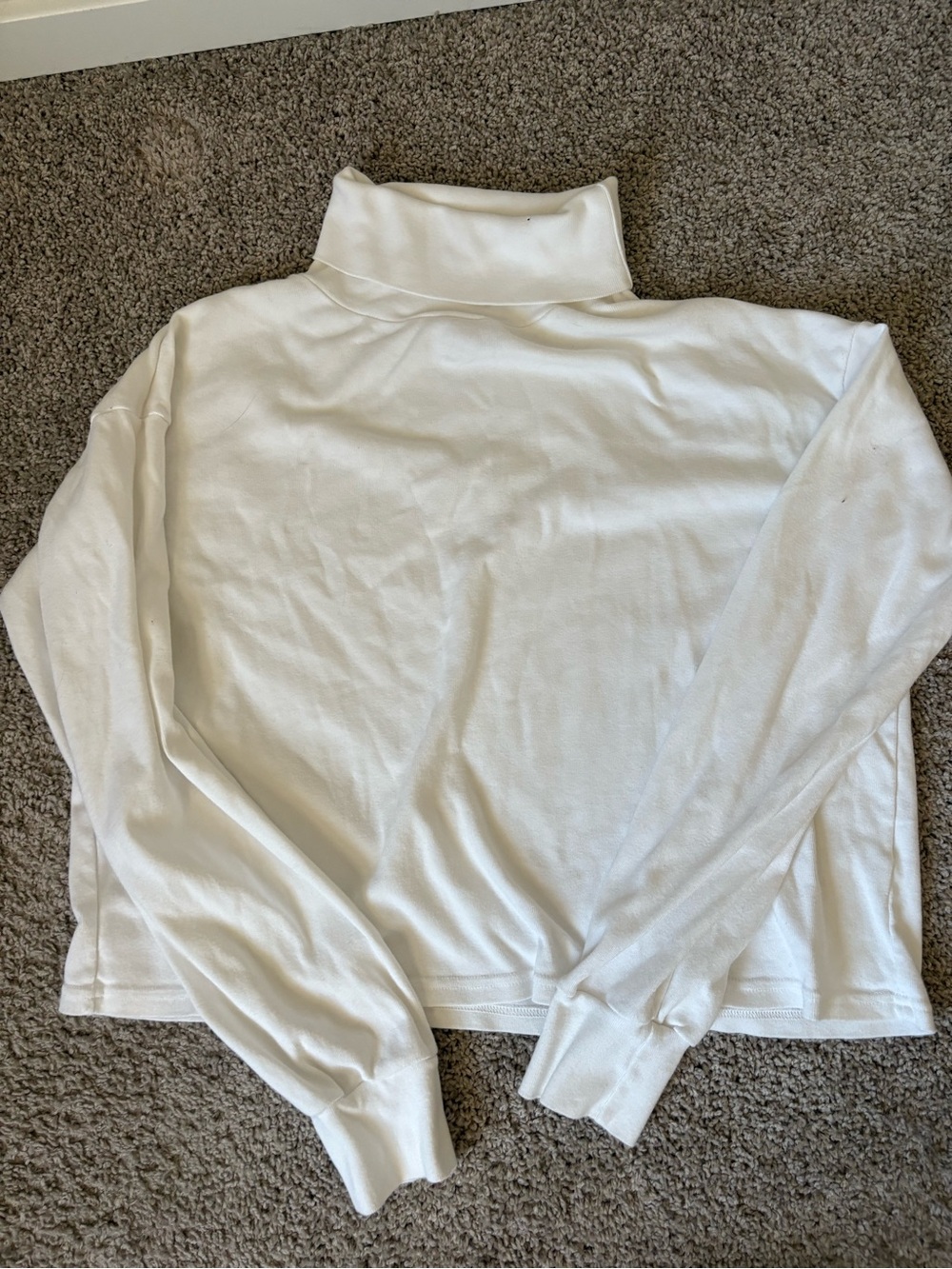 Brandy Melville Turtleneck
